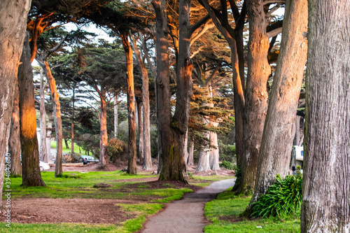 Photography Golden Gate Park in San Francisco