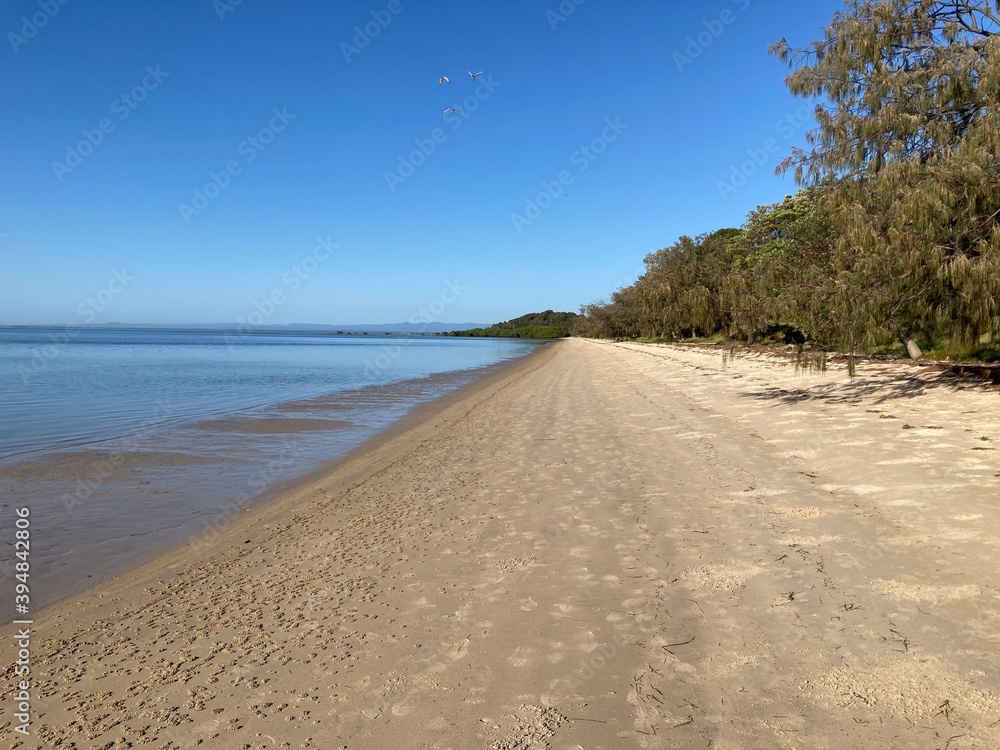 white sandy beach and green trees with clear blue sky and calm waters white sandy beach and green trees with clear blue sky and calm waters