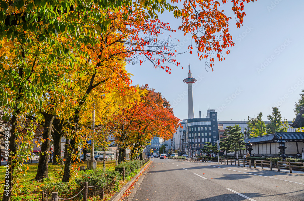 Naklejka premium 京都の東本願寺前の通り