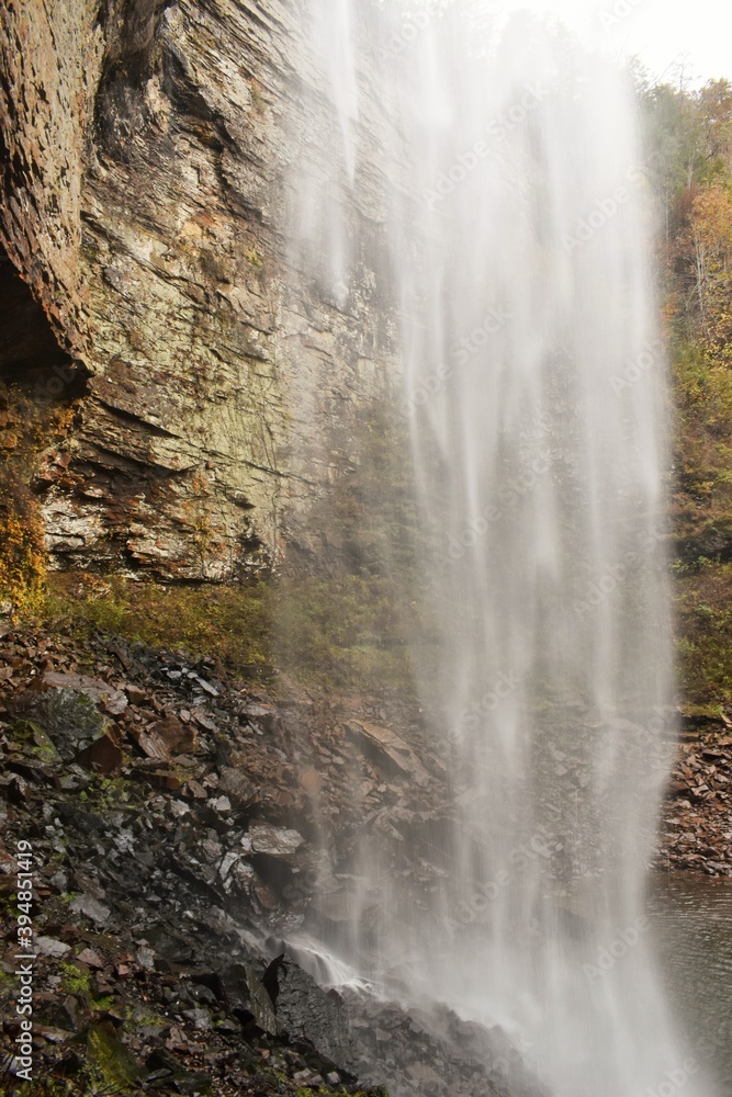 Obraz premium waterfall in the forest