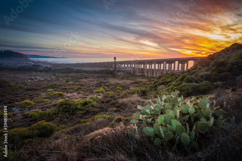 The Torrey Pines Bridge and Preserve in San Diego California photo
