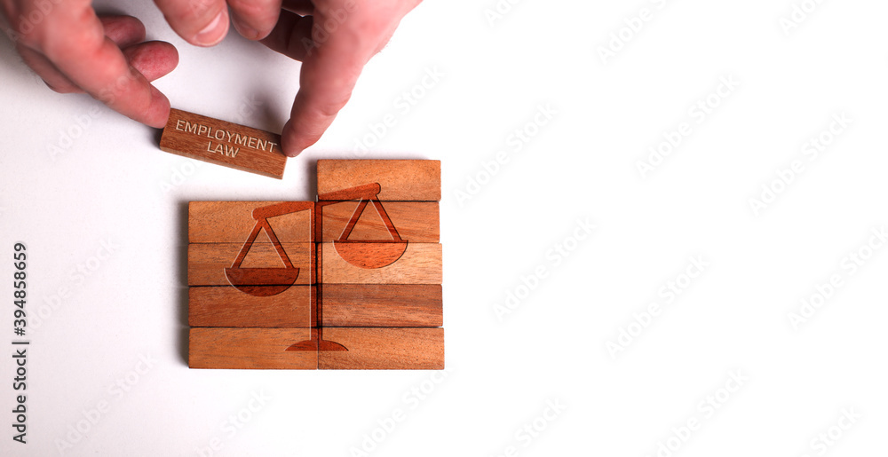 Fototapeta premium Business, Technology, Internet and network concept. Young businessman shows the word:Employment Law