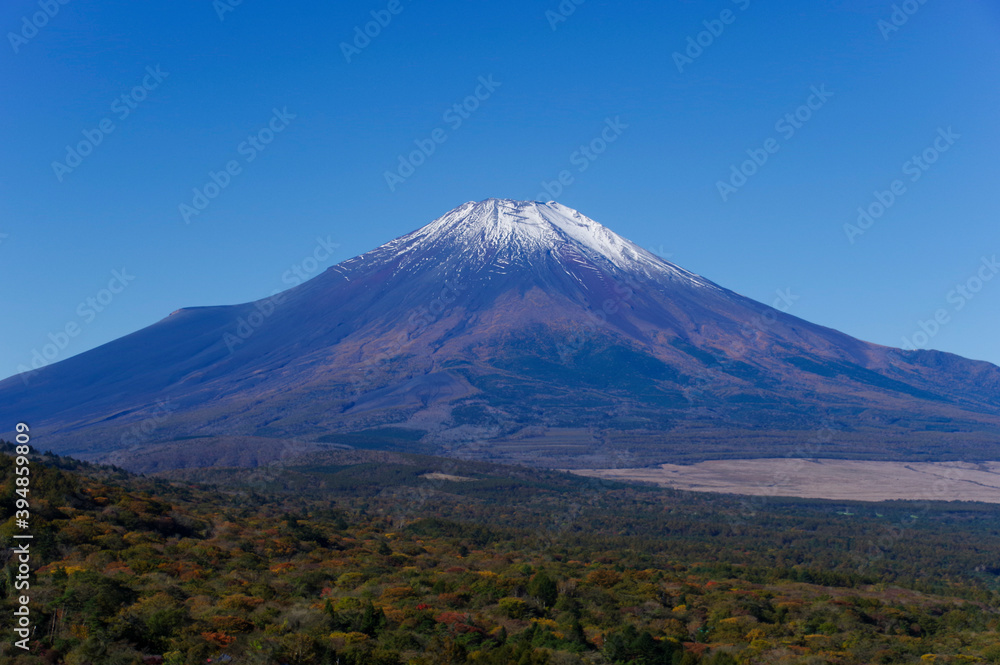 快晴の空に映える冠雪した富士山