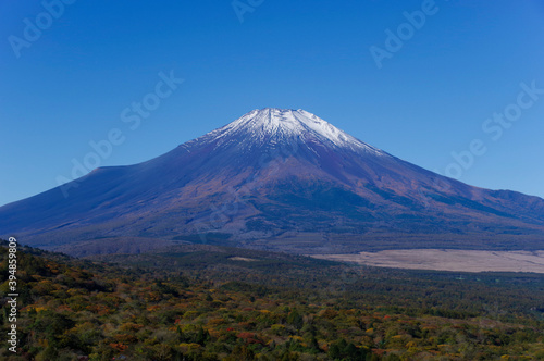 快晴の空に映える冠雪した富士山 © y.tanaka