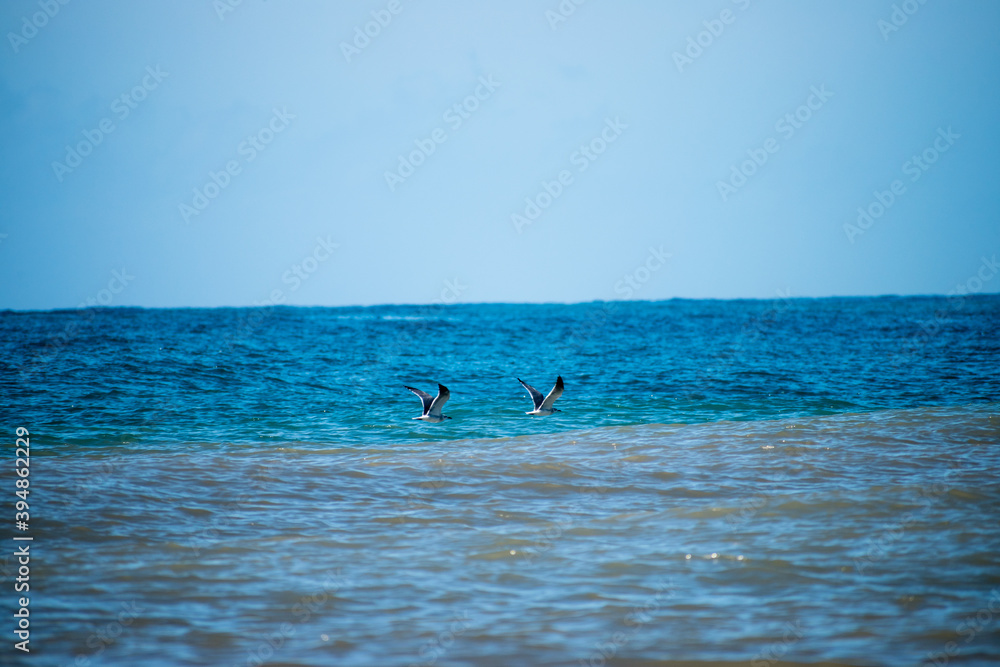 Fototapeta premium Two friends taking a trip over the atlantic ocean