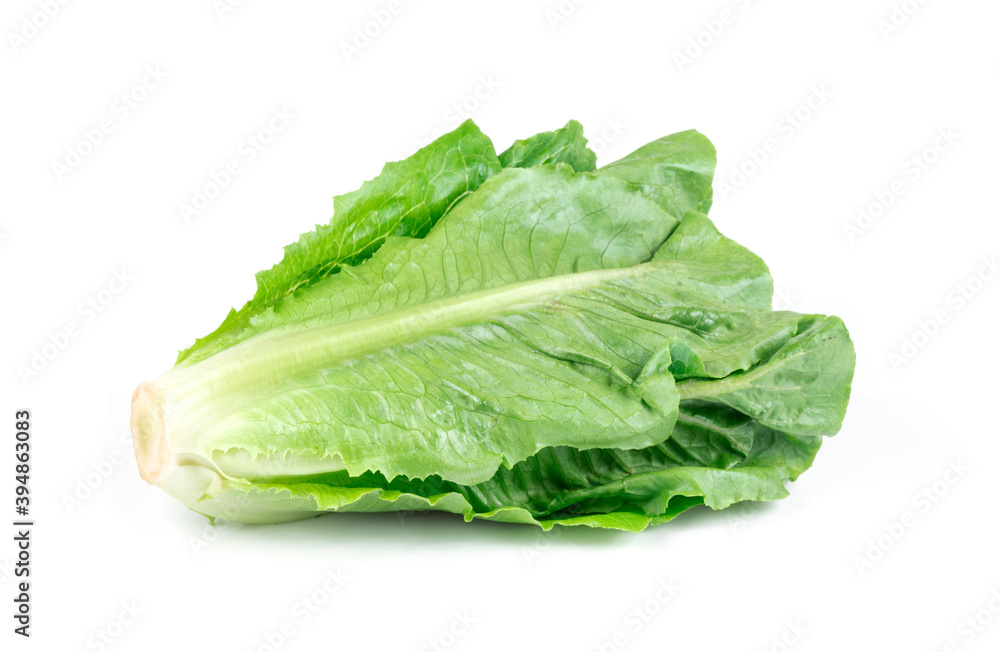 Fresh green Lettuce leaves isolated on white background. Fresh green Lettuce leaves isolated on white background.
