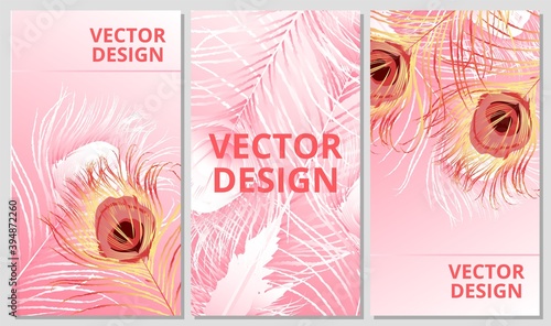 Abstract vector design. Beautiful peacock exotic bird feathers for wedding invitation, poster, cover, background, brochure luxury design vector illustration