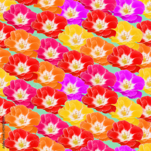 Rose flower. Illustration  texture of flowers. Seamless pattern for continuous replication. Floral background  photo collage for textile  cotton fabric. For use in wallpaper  covers.