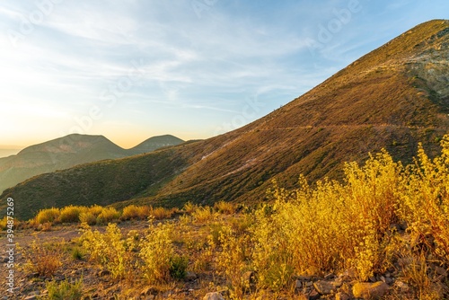 Landscape of the nature of desert full of life
