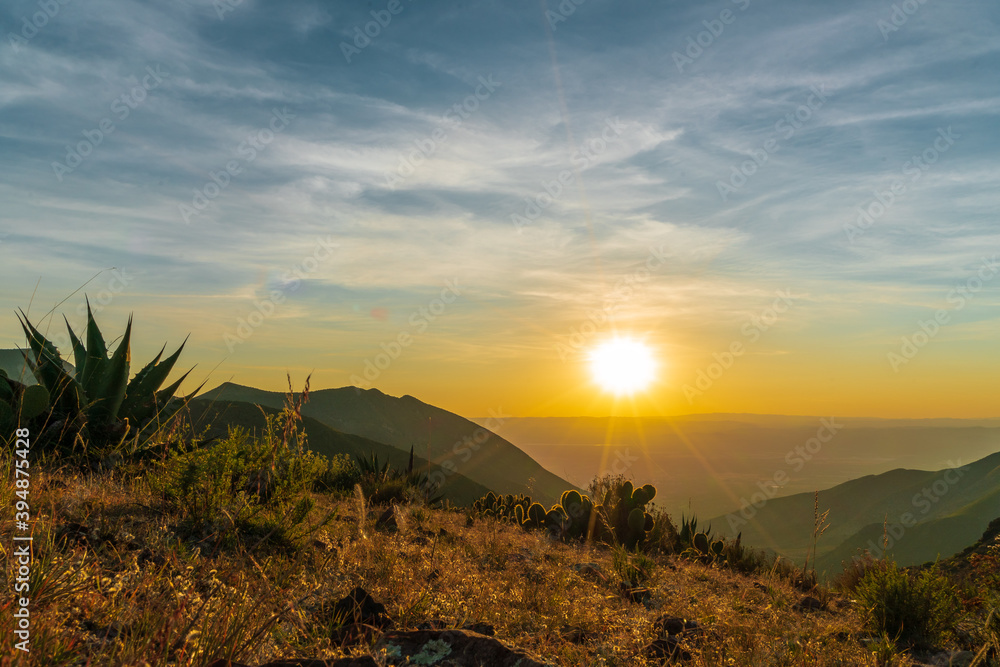 Fototapeta premium Sunset in rocky mountain desert with cactuses
