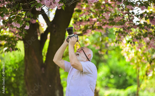 Express positivity. Cherry blossoming garden. photographer taking photos of famous cherry blossoms. spring season with full bloom pink flower. photographer man take sakura cheery blossom photo