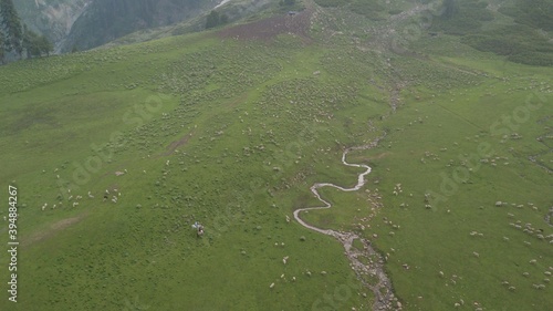 Photography Wildlife photography in Ladakh
