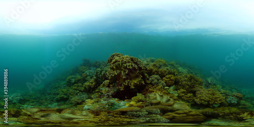 Colorful tropical coral reef. Hard and soft corals  underwater landscape. Travel vacation concept. Philippines. 360 panorama VR