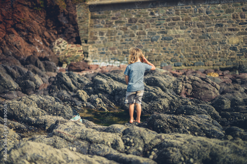 Preschooler standing by rock pool on the beach Preschooler standing by rock pool on the beach