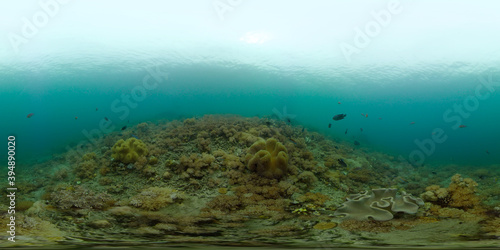 Scene reef. Marine life sea world. Underwater fish reef marine. Philippines. Virtual Reality 360. © Alex Traveler