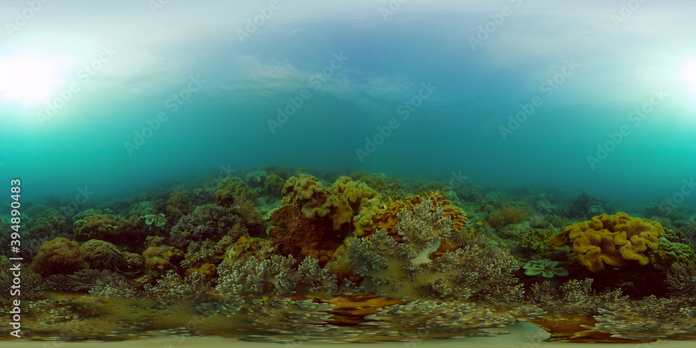 Coral garden seascape. Colourful tropical coral. Philippines. 360 panorama VR