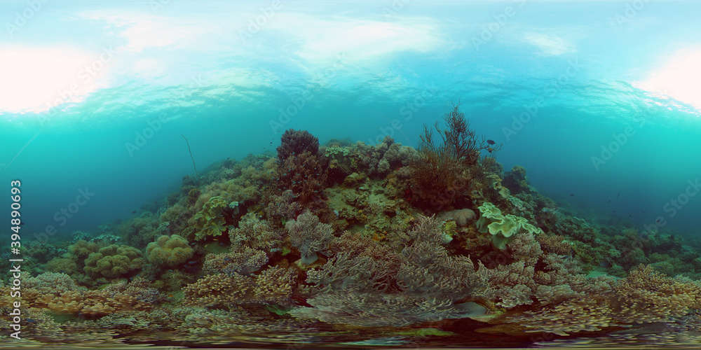 Coral reef underwater with fishes and marine life. Coral reef and tropical fish. Philippines. Virtual Reality 360.