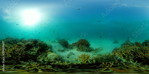 Fototapeta Naklejka Na Ścianę i Meble -  Tropical colourful underwater seascape.The underwater world with colored fish and a coral reef. Philippines. 360 panorama VR