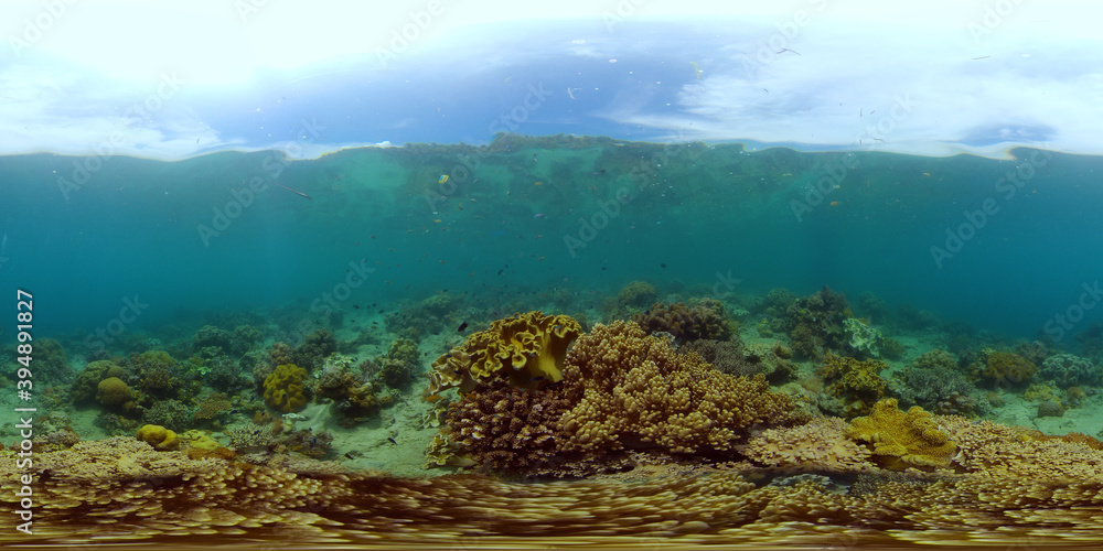 Fototapeta premium Underwater tropical colourful soft-hard corals seascape. Underwater fish reef marine. Philippines. 360 panorama VR