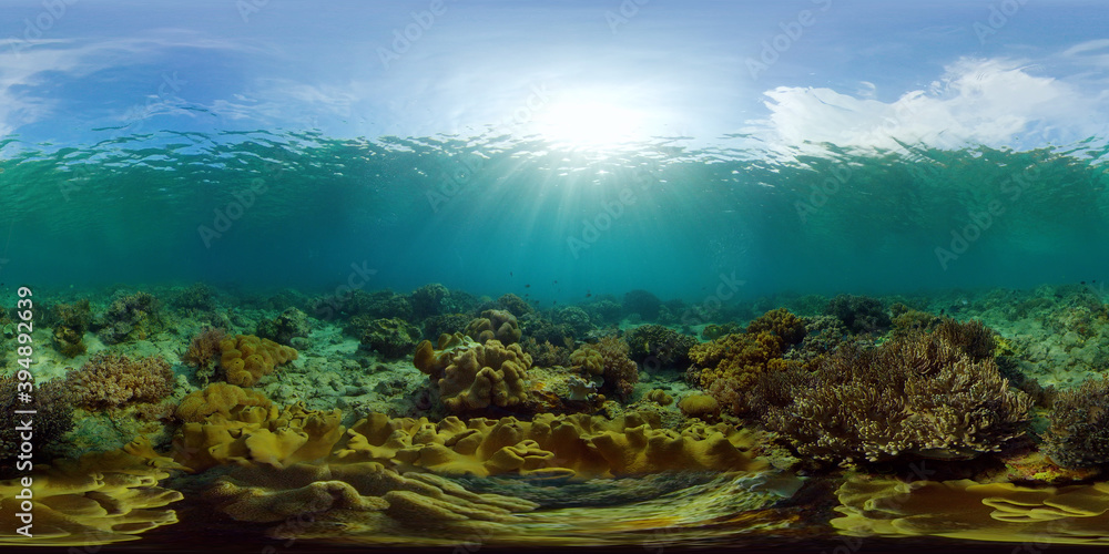 Marine life sea world. Underwater fish reef marine. Tropical colourful underwater seascape. Philippines. Virtual Reality 360. - obrazy, fototapety, plakaty 
