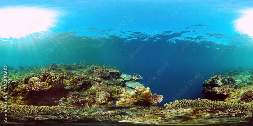 Colourful tropical coral reef. Scene reef. Seascape under water. Philippines. Virtual Reality 360.