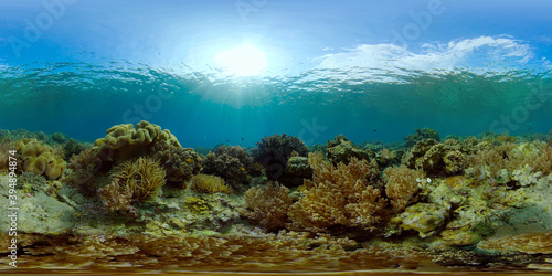 Tropical fishes and coral reef at diving. Underwater world with corals and tropical fishes. Virtual Reality 360. © Alex Traveler
