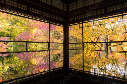 京都 瑠璃光院の紅葉