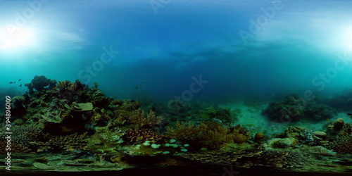 Tropical fishes and coral reef underwater. Hard and soft corals, underwater landscape. Philippines. Virtual Reality 360.