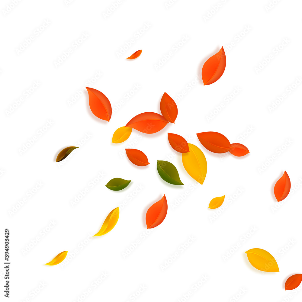 Falling autumn leaves. Red, yellow, green, brown c Falling autumn leaves. Red, yellow, green, brown c