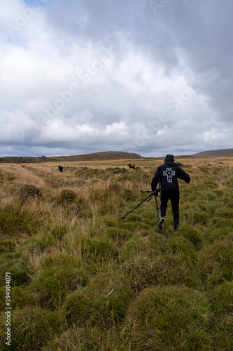 Wallpaper Mural Wild Horses in Iceland Countryside Torontodigital.ca