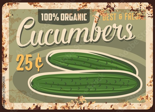 Cucumbers rusty metal plate, vector price tag for farm market, vintage rust tin sign. Fresh cucumber vegetable products retro poster, organic veggies for retail. Store or market ad ferruginous card