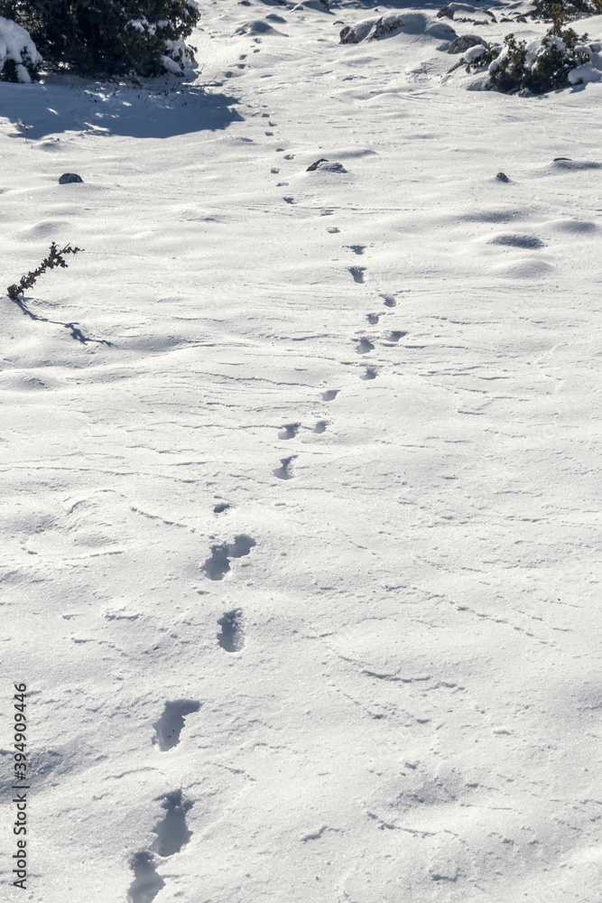 The appearance of snow on the surface. It can be used as texture or background photo. The appearance of snow on the surface. It can be used as texture or background photo.