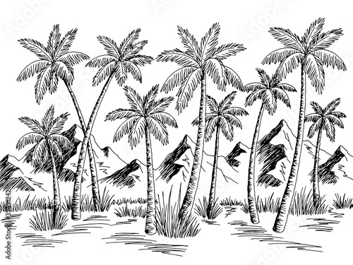 Mountain palm grove graphic black white landscape sketch illustration vector