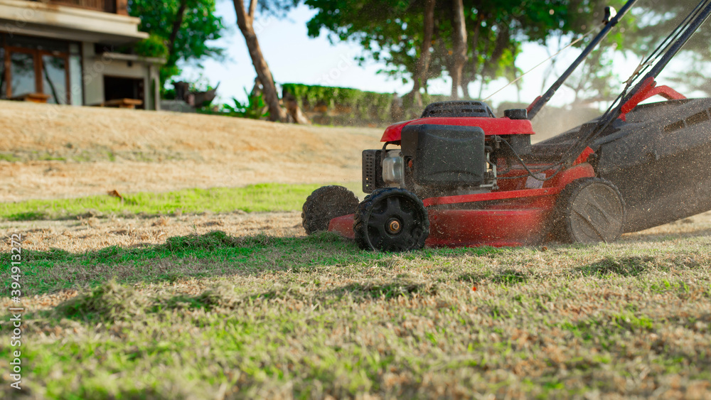 Lawn mower cutting green grass in backyard, mowing lawn Lawn mower cutting green grass in backyard, mowing lawn