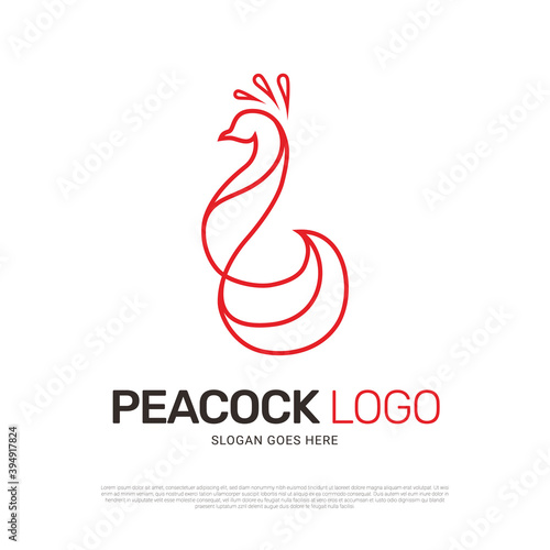 Peacock bird logo design