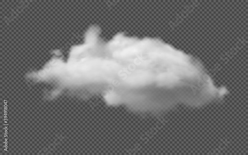 Vector realistic isolated cloud on the transparent background.
