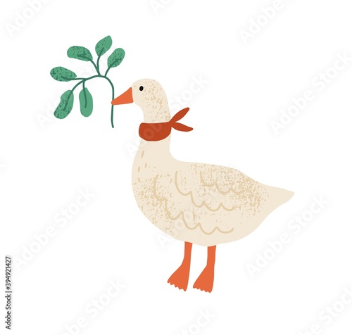 Funny goose with red collar on neck isolated on white background. Domestic bird holding green branch with leaves in beak. Hand drawn flat textured vector illustration