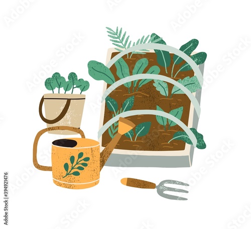 Farming and greens cultivation concept. Breeding green plants. Garden tools like water can and weeder near box of growing lettuce and spinach. Flat vector illustration isolated on white background