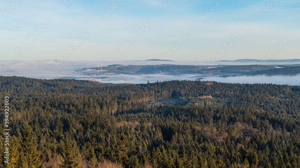 cesky les landscape in the early winter cesky les landscape in the early winter