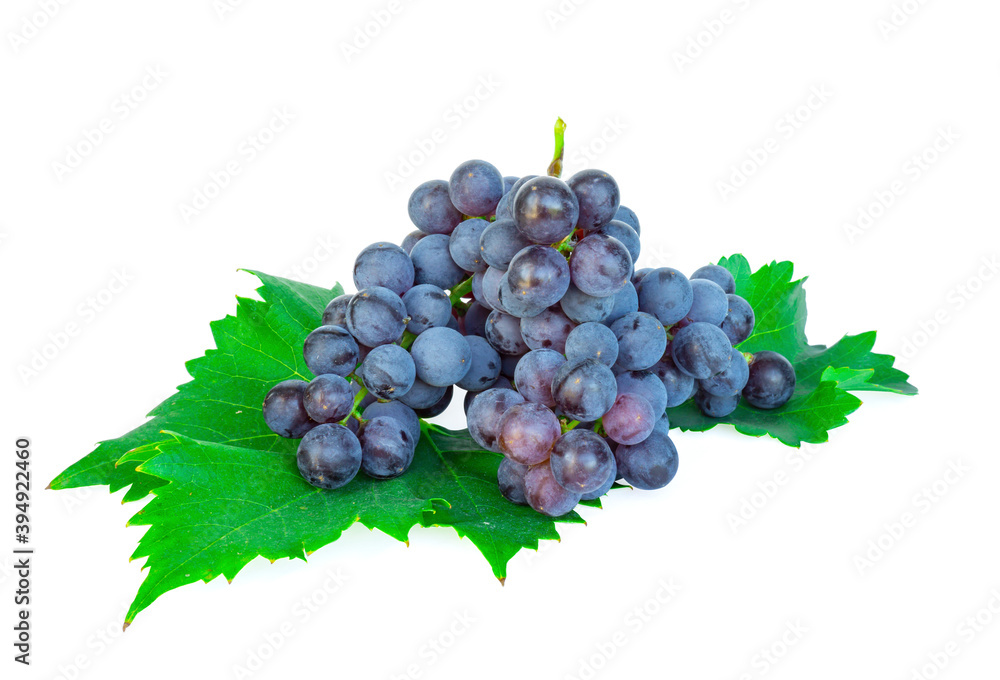 Fototapeta premium Bunch of black ripe grape green leaf isolated, white background with clipping path