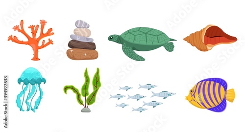 Underwater life collection