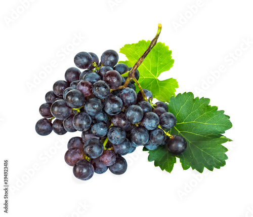 Bunch of black ripe grape green leaf isolated, white background with clipping path