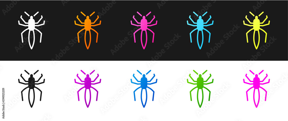 Set Spider icon isolated on black and white background. Happy Halloween party. Vector. Set Spider icon isolated on black and white background. Happy Halloween party. Vector.