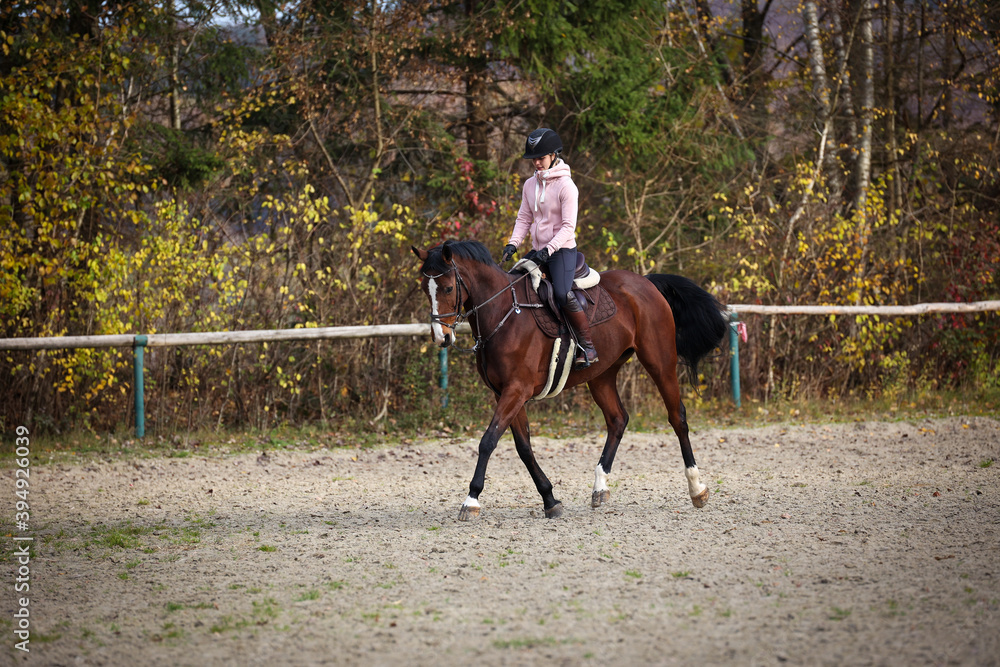 Horse with rider during training in autumn on the riding arena, while sitting out at a trot with raised left leg..