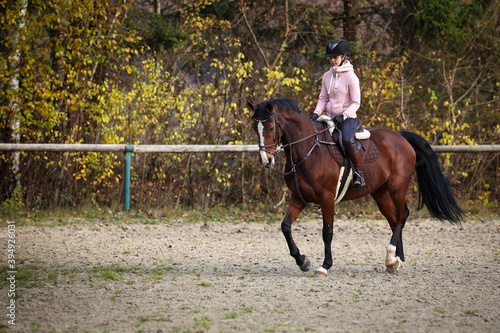 Horse with rider during training in autumn on the riding arena, while trotting on the left hand..