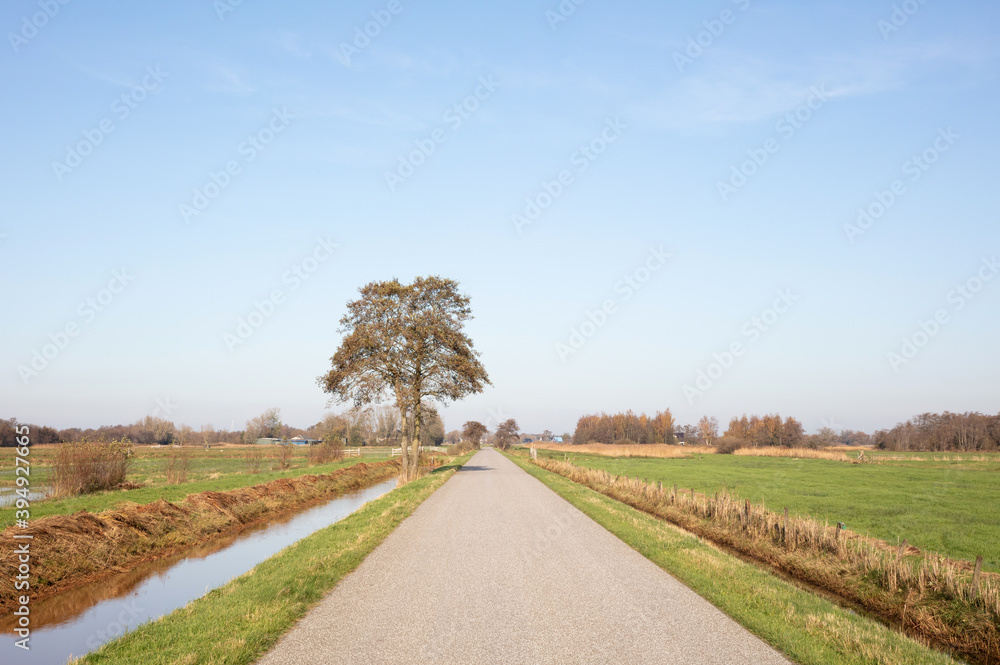 Road in the dutch landscape (Friesland)