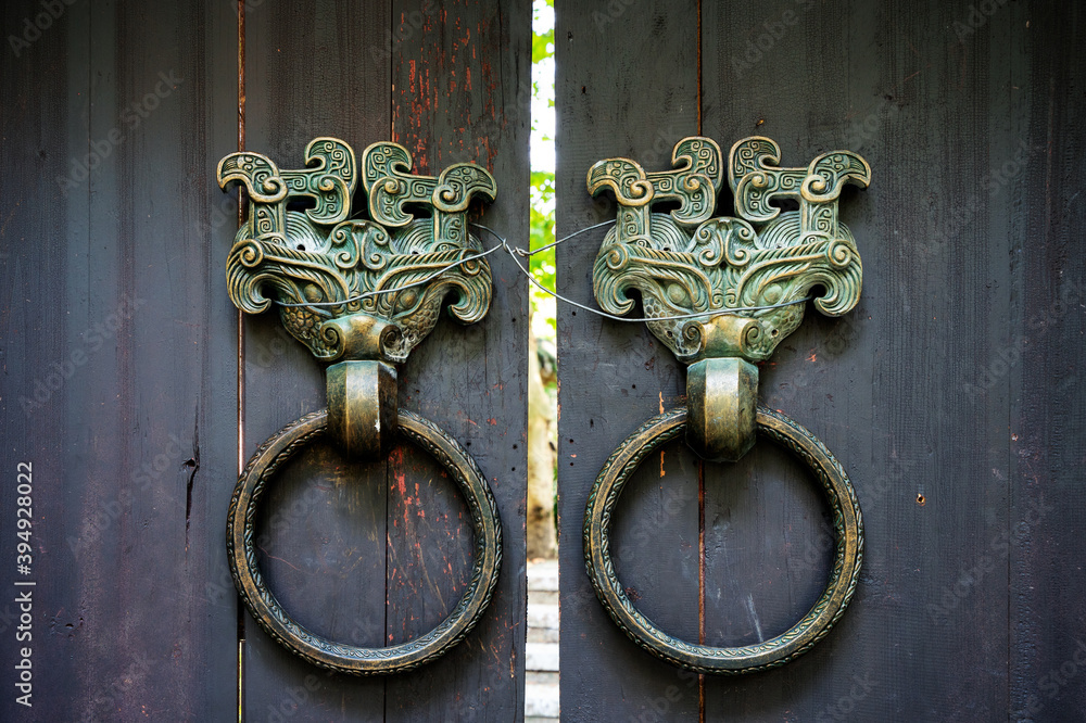 Classical bronze beast door knocker