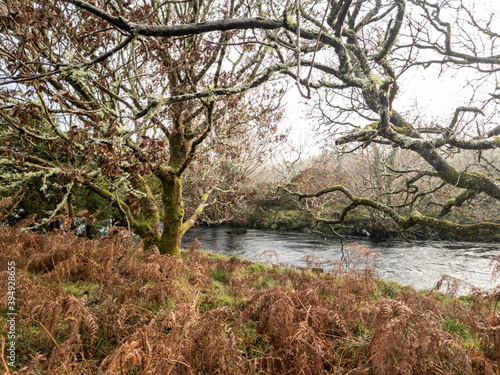 Fototapeta Naklejka Na Ścianę i Meble -  The landscape next to the Owenea river by Ardara - Donegal, Ireland