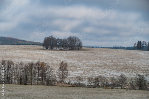 cesky les landscape in the early winter photo