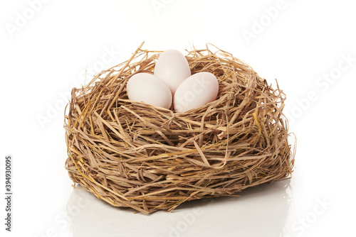 the white egg in nest on white background